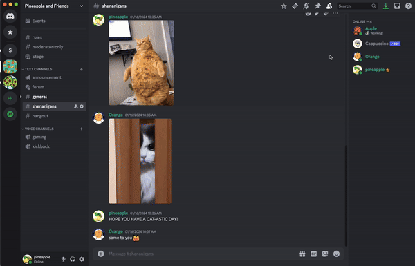 image5.gif